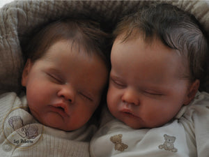 Quinbee twins by seji reborns