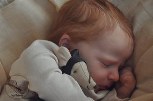 Reborn baby Quinn - Ready to Ship