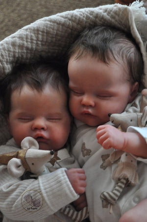 Quinbee twins by seji reborns