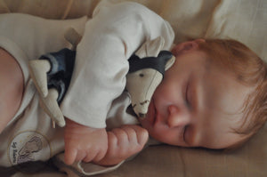 Reborn baby Quinn - Ready to Ship